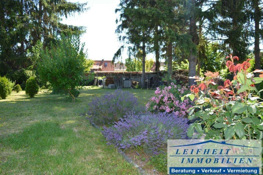 Garten Doppelhaush�lfte M�hlhausen