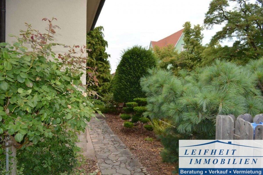 Garten Villa M�hlhausen/Th�ringen