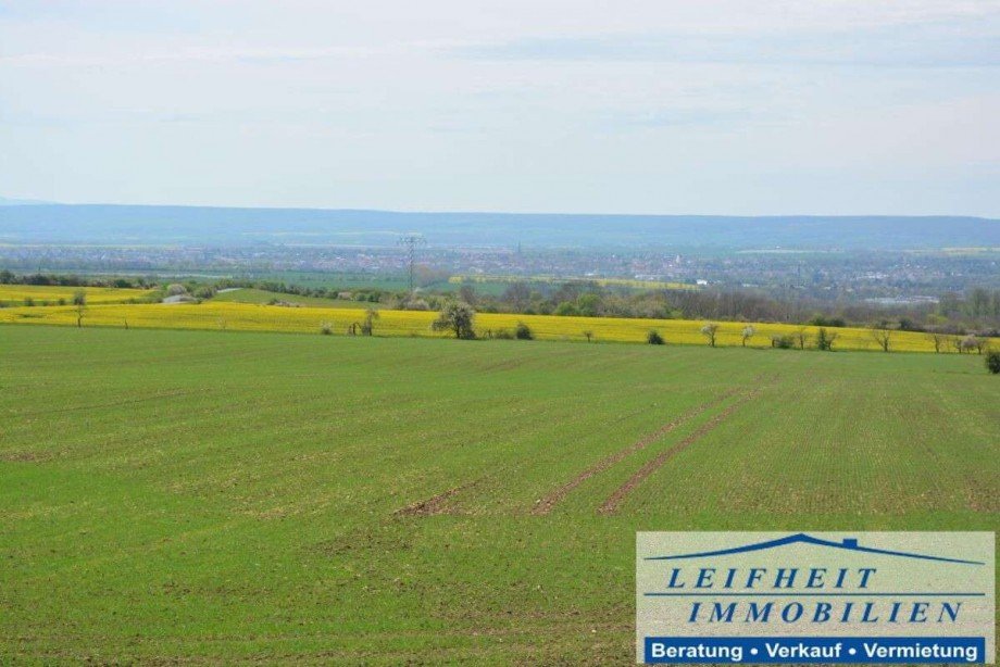 Ausblick zum Inselsberg Einfamilienhaus Unstruttal Kaisershagen