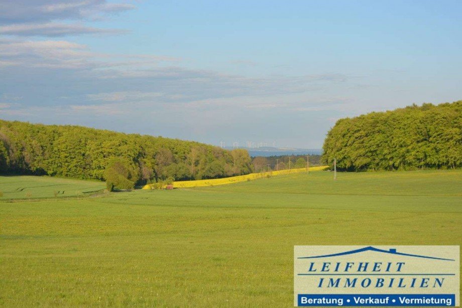 Ausblick Einfamilienhaus Rodeberg