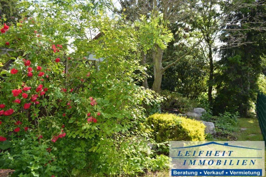 Garten Einfamilienhaus Oberdorla