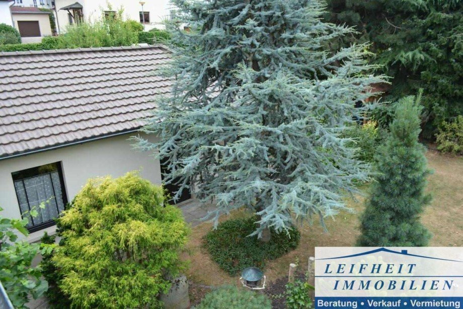 Garten Villa M�hlhausen/Th�ringen