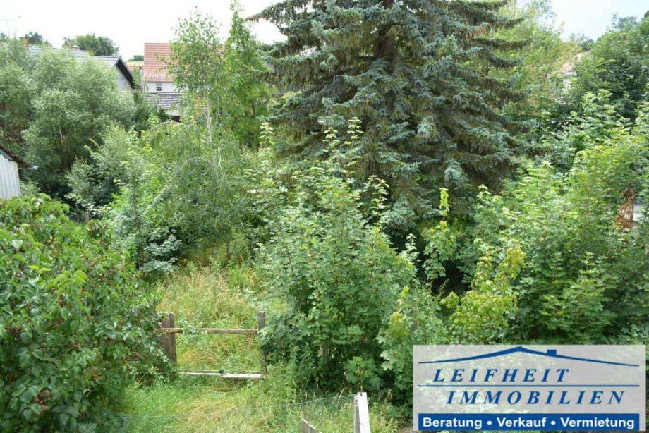 Garten Einfamilienhaus Unstruttal OT Horsmar