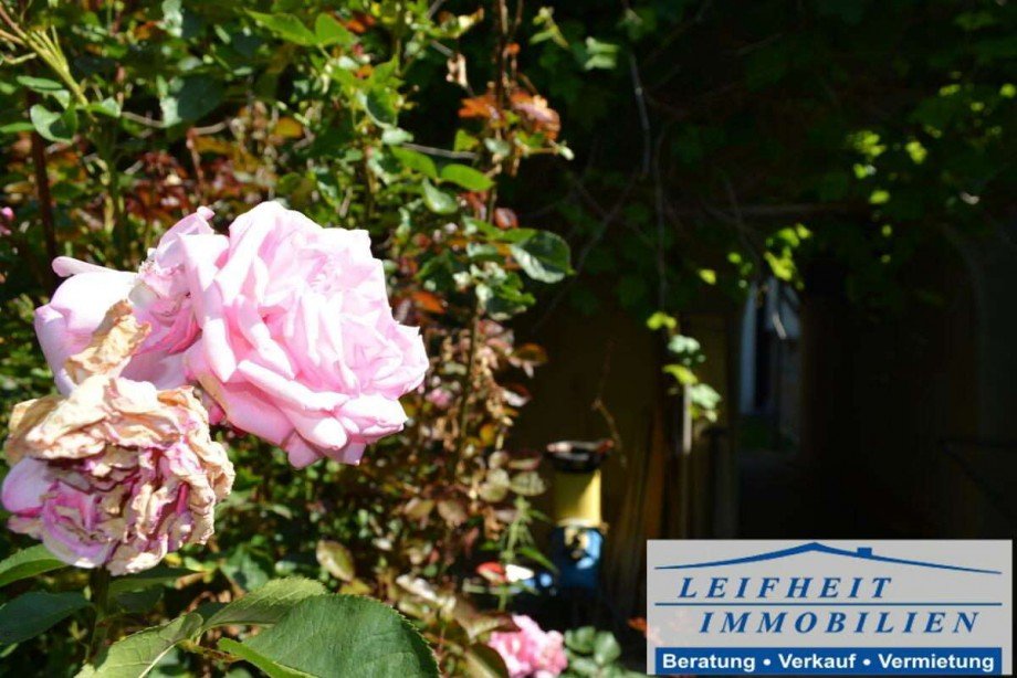 Garten Haus Dingelst�dt