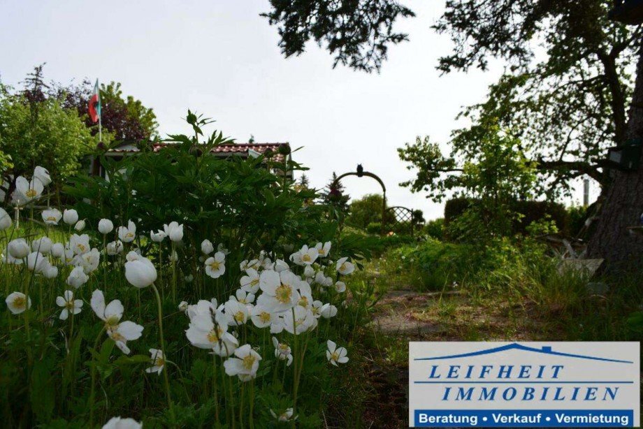 Garten Freizeitgrundst�ck M�hlhausen/Th�ringen