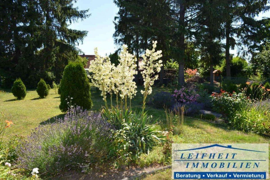 Garten Doppelhaush�lfte M�hlhausen