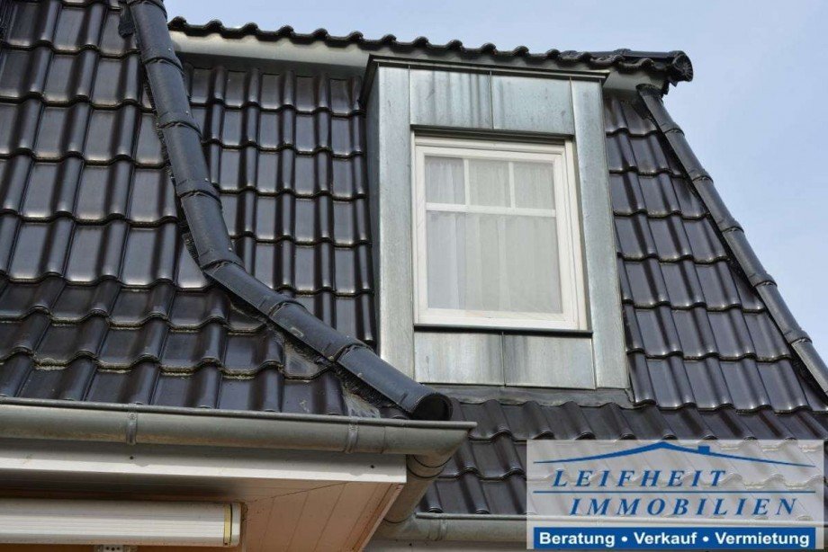 Dachgaube in Zink stehfalz Villa Niederdorla