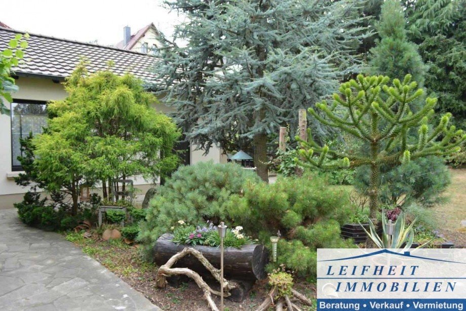 Garten Villa M�hlhausen/Th�ringen