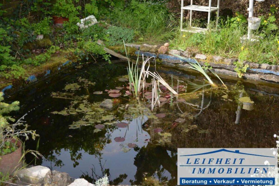 Gartenteich Freizeitgrundst�ck M�hlhausen/Th�ringen