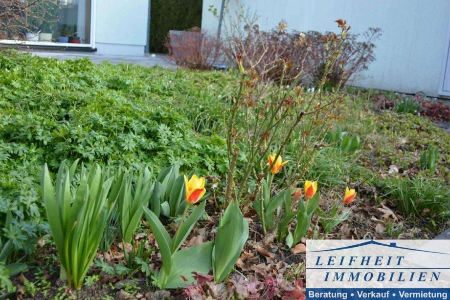 Blumenrabatte Einfamilienhaus M�hlhausen/Th�ringen