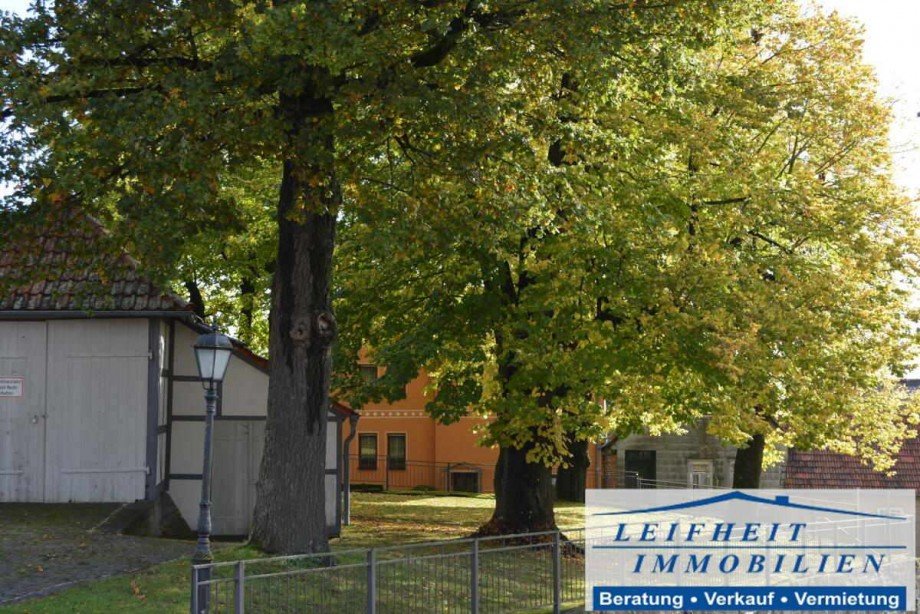romantischer Dorfanger Einfamilienhaus M�hlhausen OT Eigenrieden