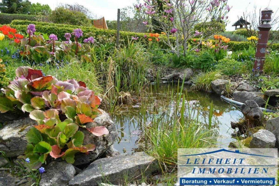 Gartenteich Einfamilienhaus Unstruttal Kaisershagen